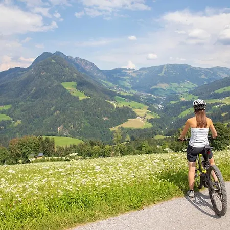 Stocker's Wohlfuehlapartments Appartamento Reith im Alpbachtal