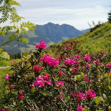 Apartment Stocker's Wohlfuehlapartments Reith im Alpbachtal