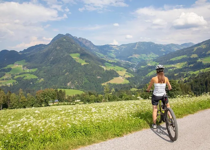 Stocker's Wohlfuehlapartments Апартаменты Райт (Альпбахталь)